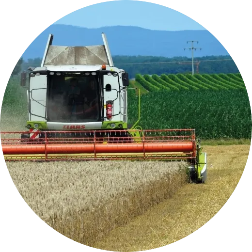 propiedades rurales Locci Bienes Raíces